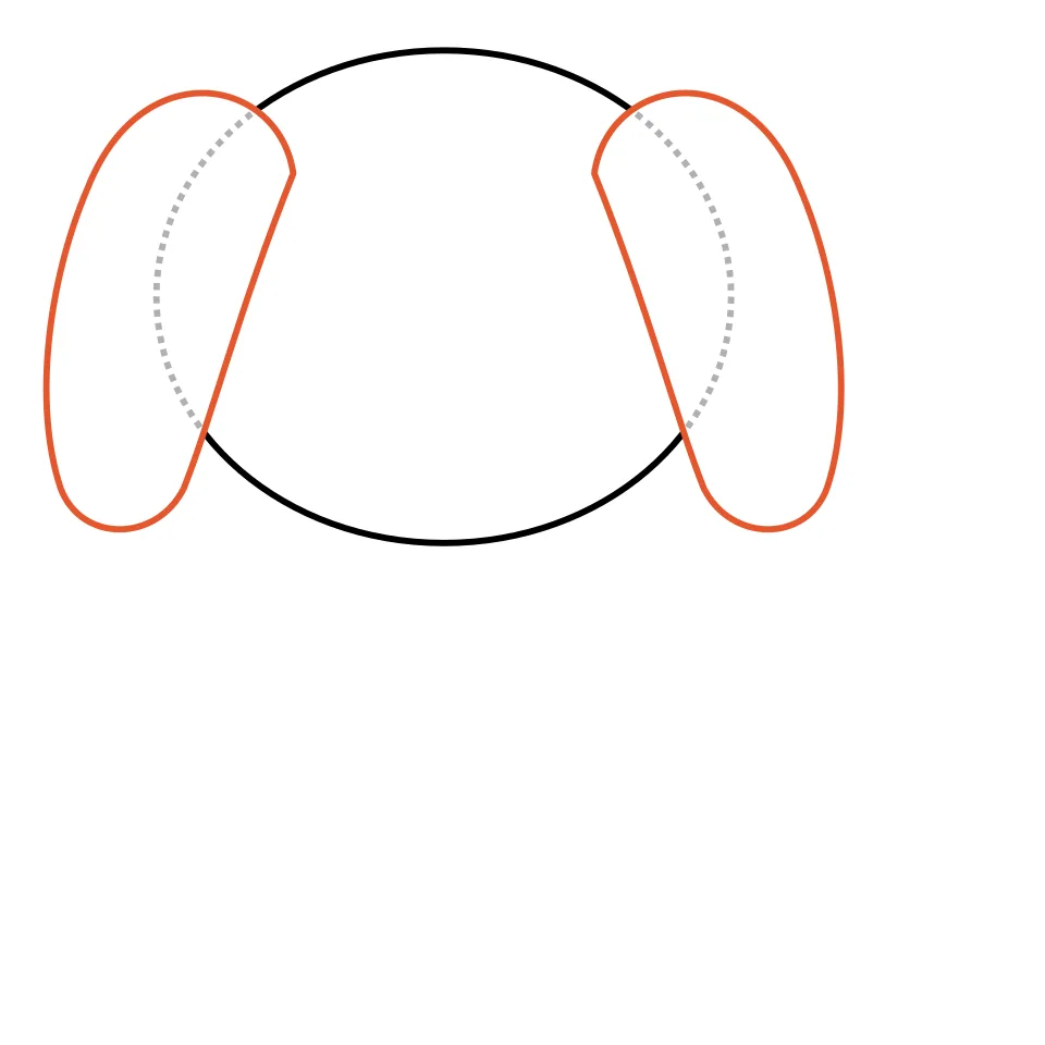 How to draw a dog, step 2: Add two floppy ears hanging down the sides.