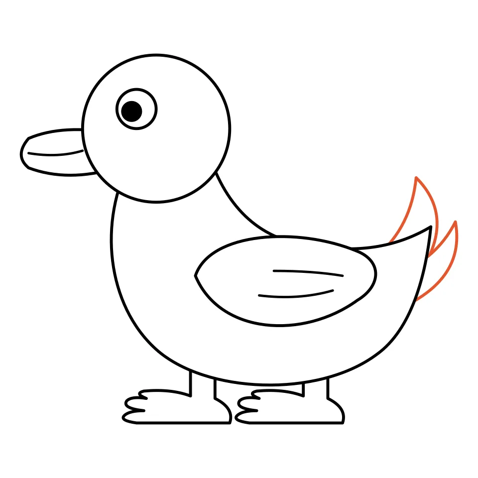 How to draw a duck, step 7: Finish with two curved tail feathers.