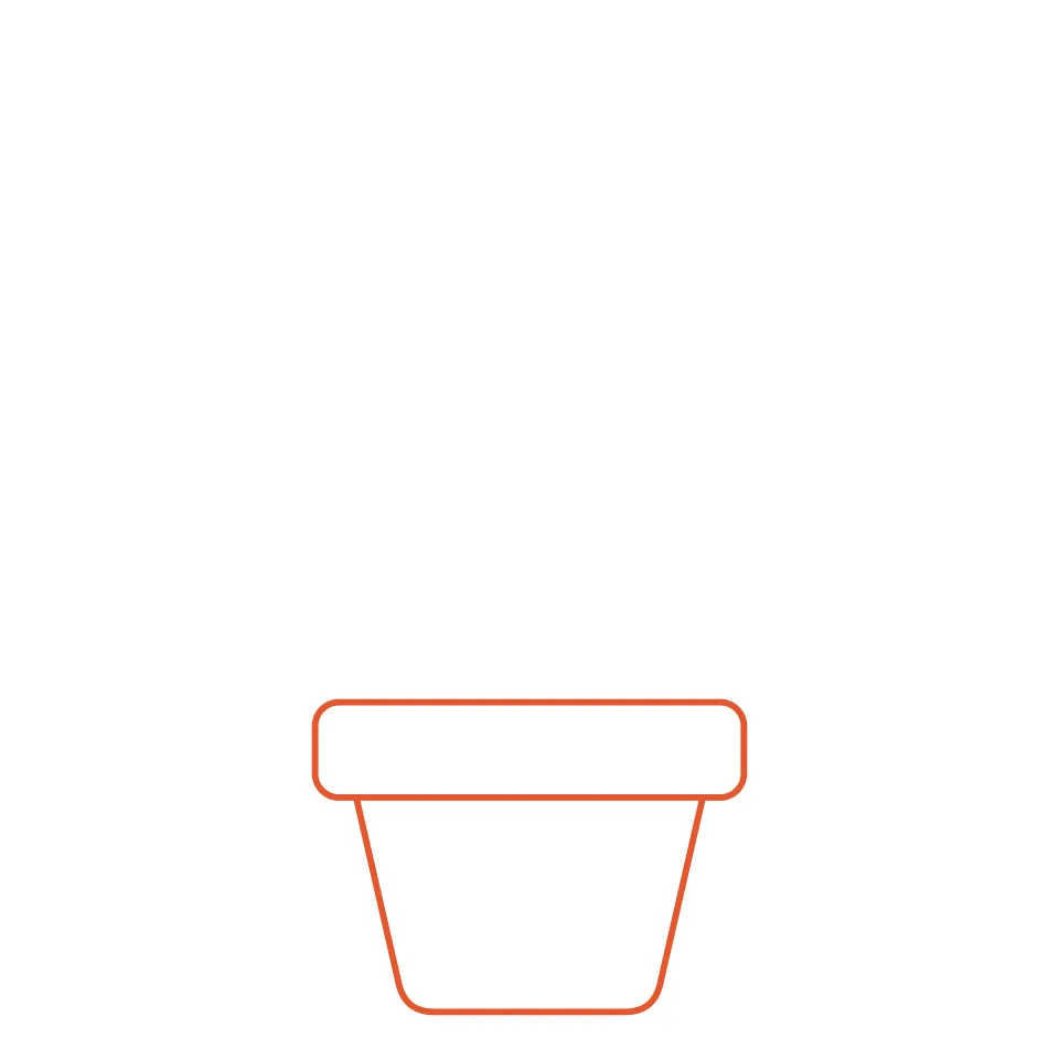 How to draw a flower, step 1: Draw a big flower pot with a wide rim.