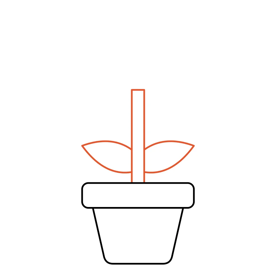 How to draw a flower, step 2: Add a tall stem and two leaves.