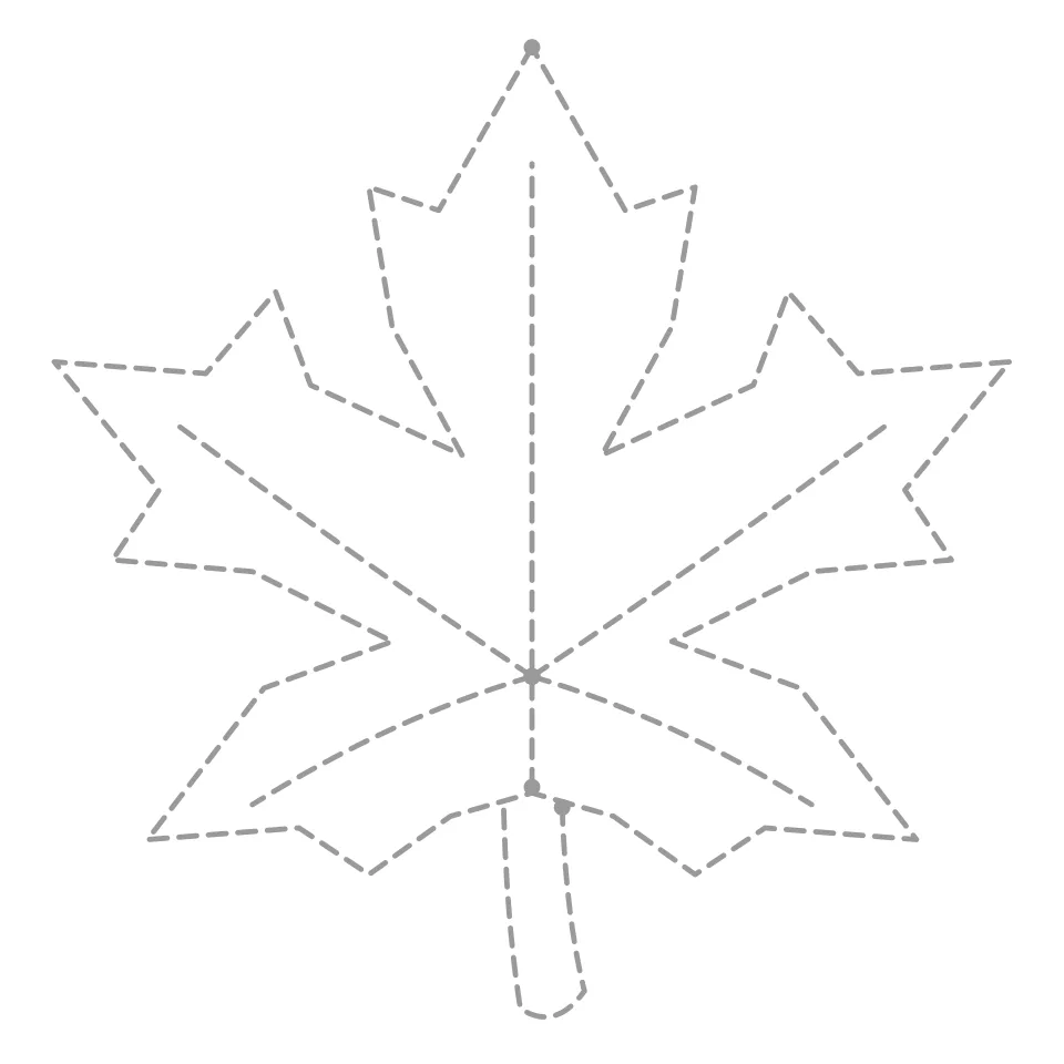 Leaf outline drawing to print and trace