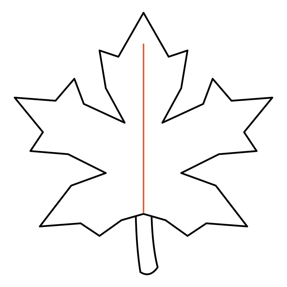 How to draw a leaf, step 3: Draw a straight vein up to the top tip.