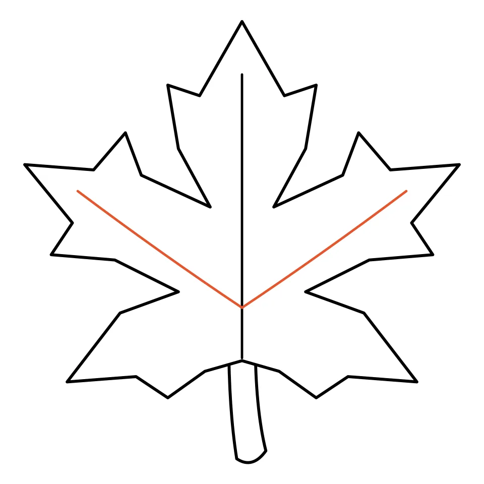 How to draw a leaf, step 4: Add two veins out to the big side tips.