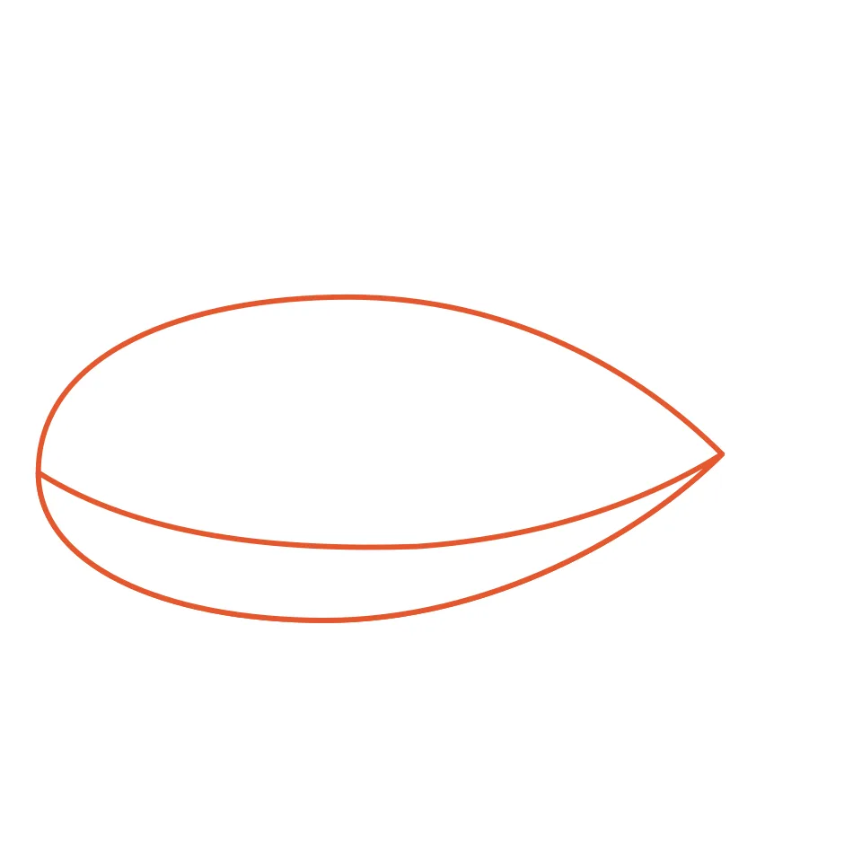 How to draw a shark, step 1: Draw a long, rounded body.