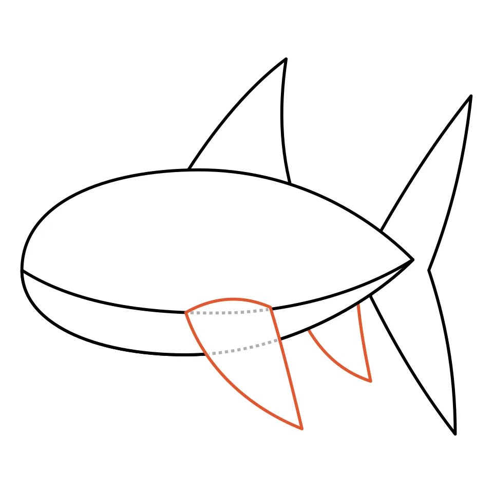 How to draw a shark, step 4: Add a side fin and a small belly fin.