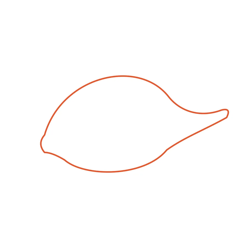 How to draw a stegosaurus, step 1: Draw a humpy body and a long tail.