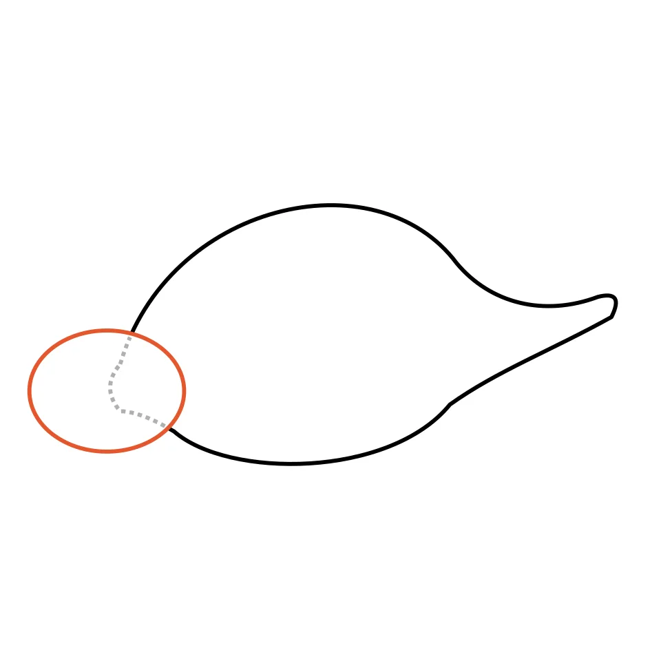 How to draw a stegosaurus, step 2: Add a small oval head at the front.